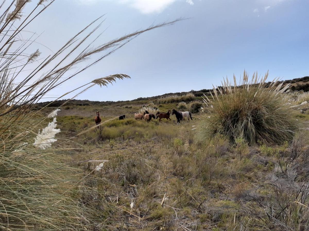 La Antonieta Estancia De Mar Dos Pozos Esterno foto
